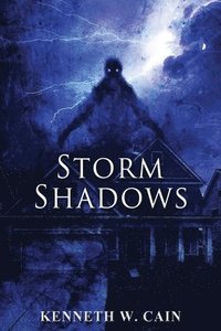 bokomslag Storm Shadows