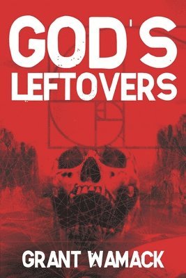 bokomslag God's Leftovers