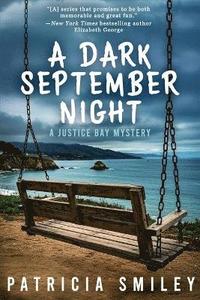 bokomslag Dark September Night