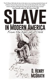bokomslag Slave In Modern America