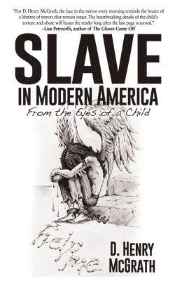 bokomslag Slave In Modern America
