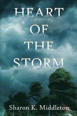 bokomslag Heart of the Storm