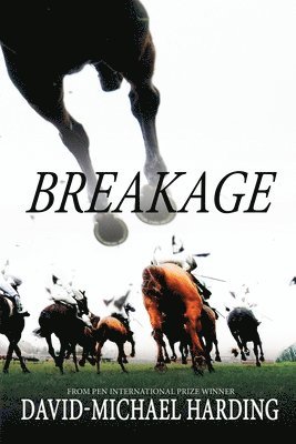 David-Michael Harding - Breakage, Häftad