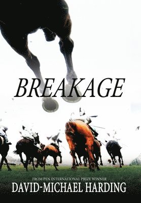 Breakage 1