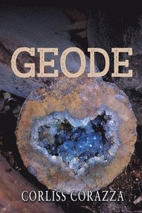 bokomslag Geode