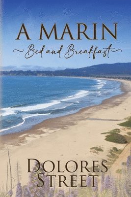 Marin Bed and Breakfast 1