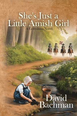 bokomslag She's Just a Little Amish Girl: A Gettysburg Novel