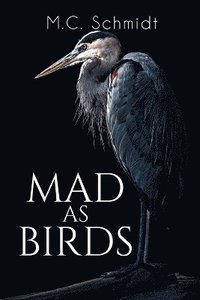 bokomslag Mad as Birds