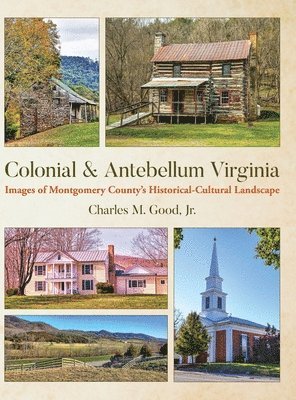 bokomslag Colonial & Antebellum Virginia