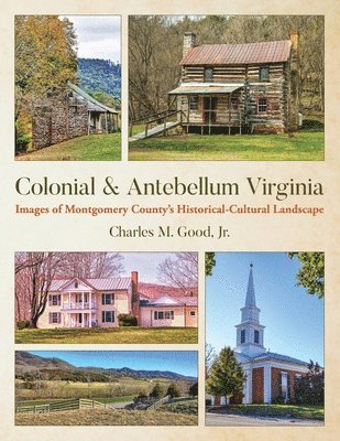 bokomslag Colonial & Antebellum Virginia