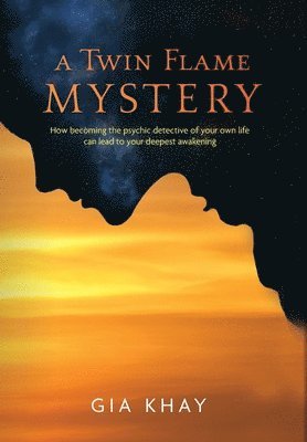 A Twin Flame Mystery 1