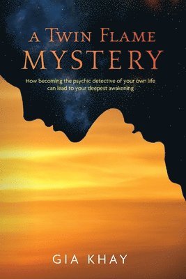 A Twin Flame Mystery 1