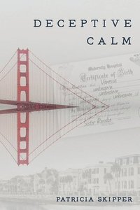 bokomslag Deceptive Calm