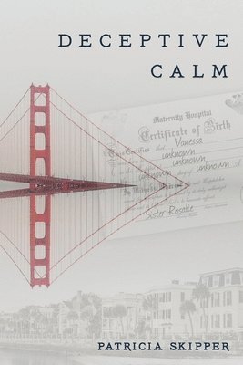 bokomslag Deceptive Calm