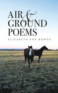 bokomslag Air and Ground Poems