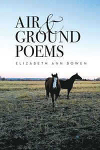 bokomslag Air and Ground Poems