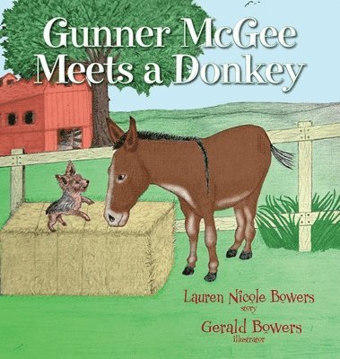 bokomslag Gunner McGee Meets a Donkey