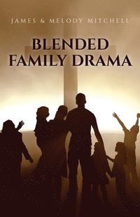 bokomslag Blended Family Drama