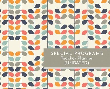 bokomslag Special Programs Teacher Planner