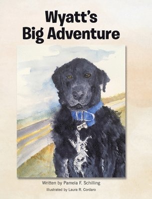 bokomslag Wyatt's Big Adventure