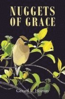 bokomslag Nuggets of Grace