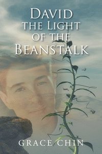 bokomslag David the Light of the Beanstalk