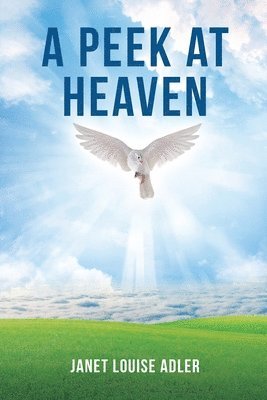 Janet Louise Adler, Louise Adler, Janet - Peek at Heaven, Häftad