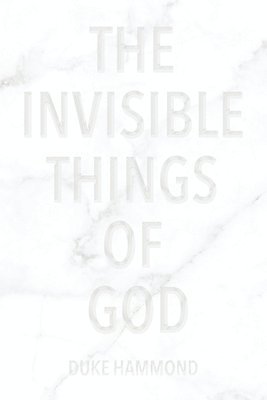 bokomslag The Invisible Things of God