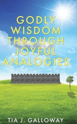 bokomslag Godly Wisdom through Joyful Analogies