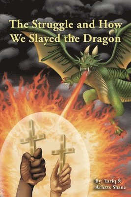 bokomslag Struggle and How We Slayed the Dragon