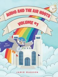 bokomslag Audio and the Air Hoots