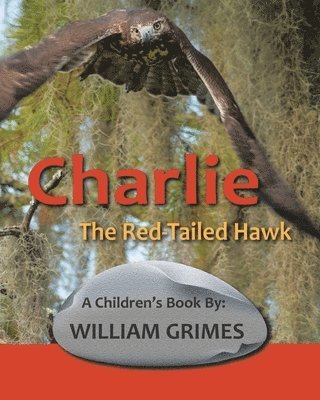 Charlie the Red-Tailed Hawk 1