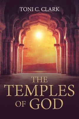 bokomslag Temples of God