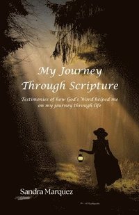 bokomslag My Journey Through Scripture