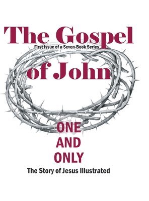 bokomslag The Gospel of John