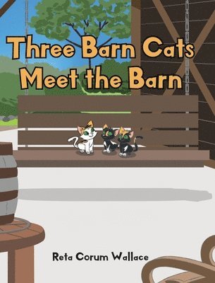 Three Barn Cats Meet the Barn 1