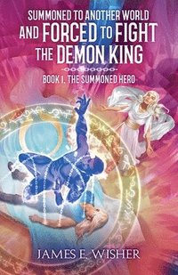bokomslag The Summoned Hero