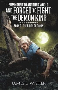 bokomslag Birth of Ronin