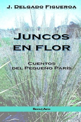 Juncos en flor 1