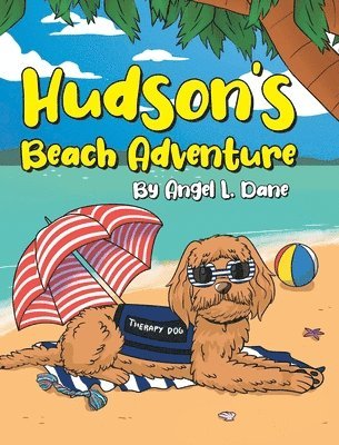 Hudson's Beach Adventure 1