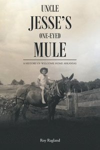 bokomslag Uncle Jesse's One-Eyed Mule