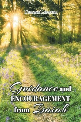 bokomslag Guidance and Encouragement from Isaiah