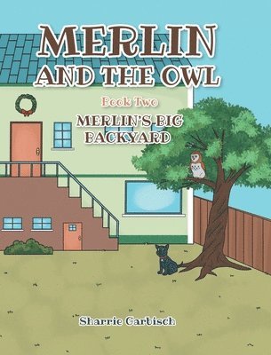 Merlin And The Owl 1