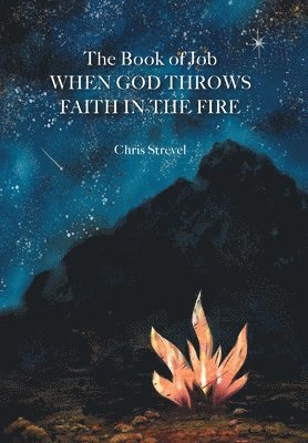 The Book of Job When God Throws Faith in the Fire 1