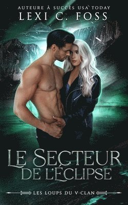 bokomslag Secteur de l'Éclipse
