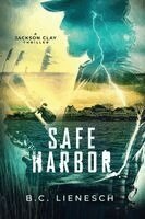 B C Lienesch - Safe Harbor, Häftad