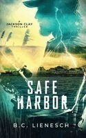 B C Lienesch - Safe Harbor, Inbunden