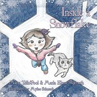 bokomslag Inside a Snowflake