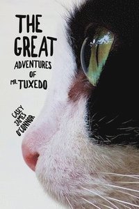 bokomslag The Great Adventures of Mr. Tuxedo