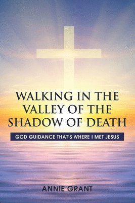 Annie Grant - Walking in the Valley of the Shadow of Death: God guidance that's where I met Jesus, Häftad